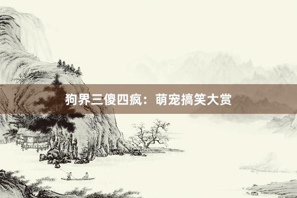 狗界三傻四疯：萌宠搞笑大赏