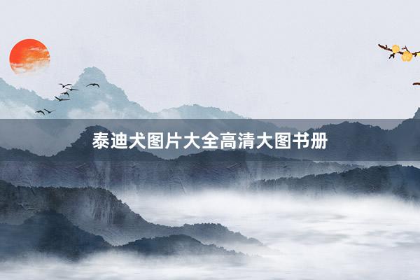 泰迪犬图片大全高清大图书册